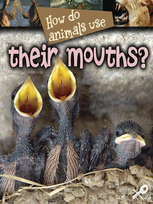 cover image of How Do Animals Use Their Mouths?